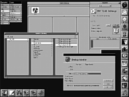 SafetyNetScrn