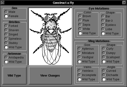 FlyLab